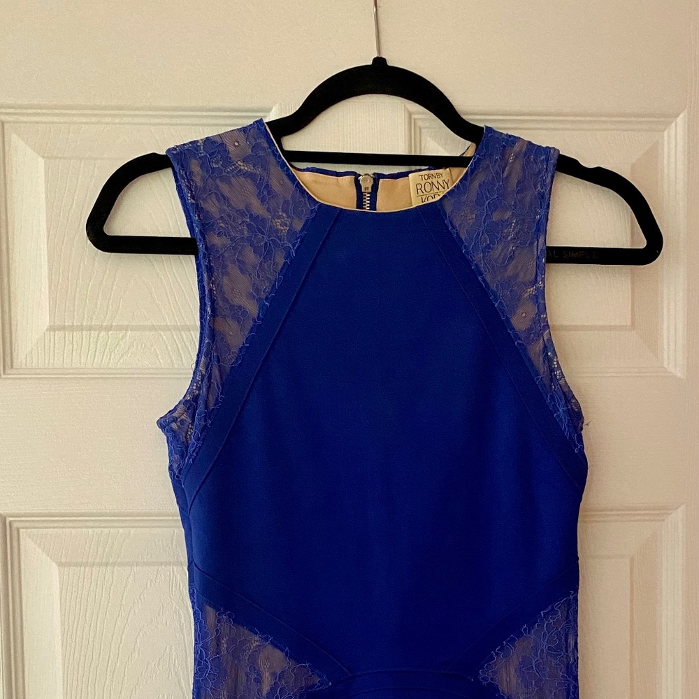 Torn by Ronny Kobo dress